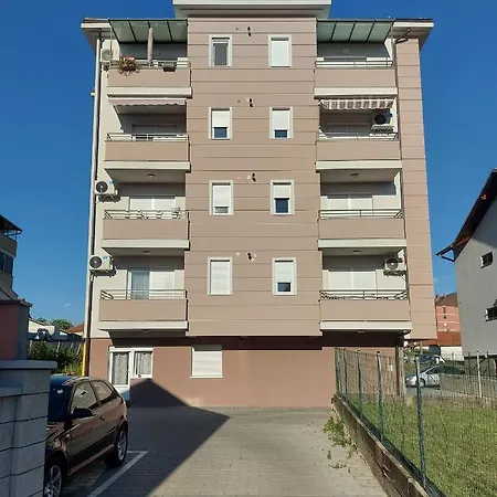 Aura 阿然德洛维克