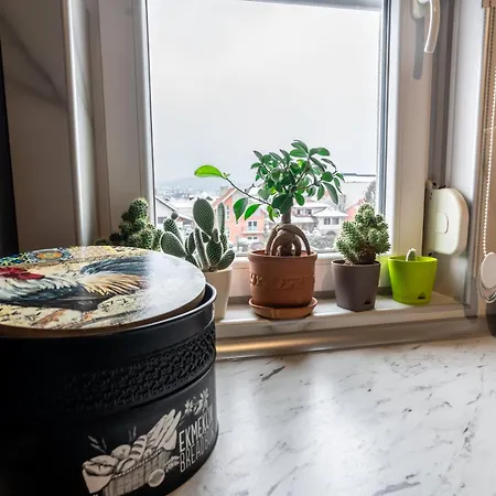 公寓 Aura 阿然德洛维克