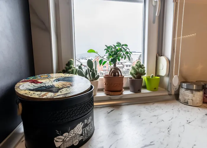 Daire Aura Arandjelovac